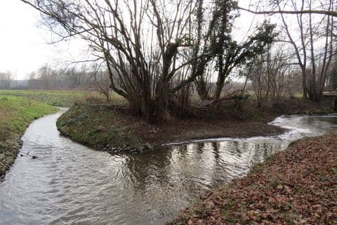Flusslauf der Erft zwischen Türnich und Mödrath