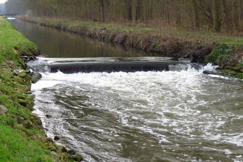 Die Erft: großes Wehr im Pachtlos 6