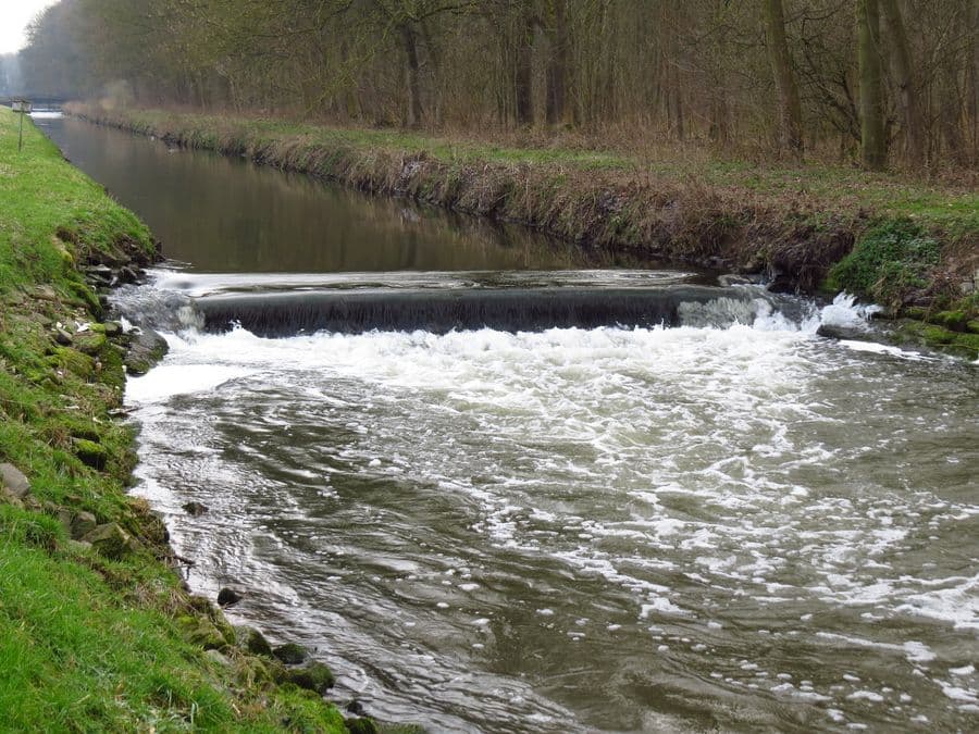 Die Erft: großes Wehr im Pachtlos 6
