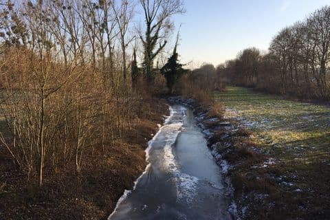 Rieselstrecke der Erft