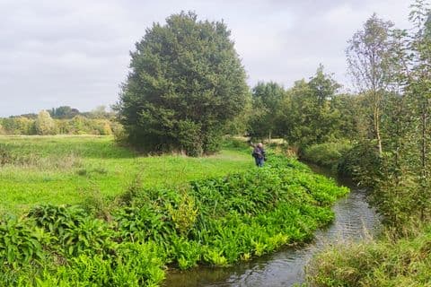 Naturnaher Abschnitt der kleinen Erft