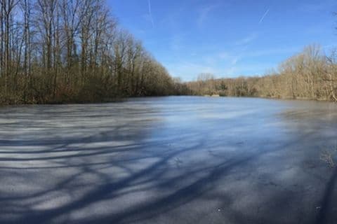 Der Salzweiher im Winter